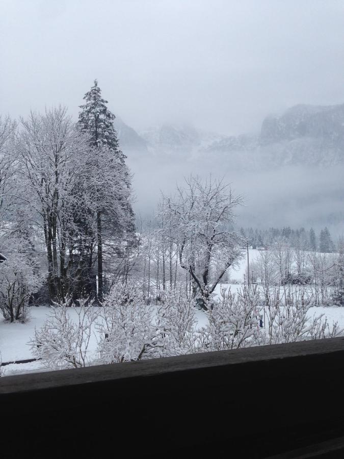 Appartamento Haus Gsenger Abtenau Esterno foto